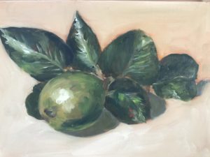 Poire fraîchement cueillie