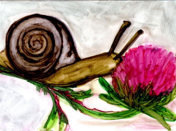 #1173-snail-flower 600