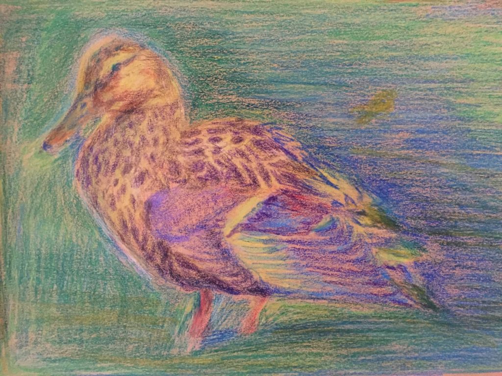 398F95FD-B09B-49C7-931C-CCEFC91A315F