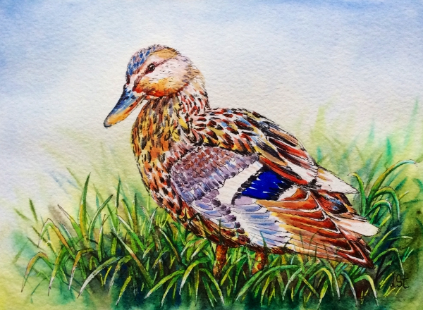 5x7_Millard_IMG_5572_600px