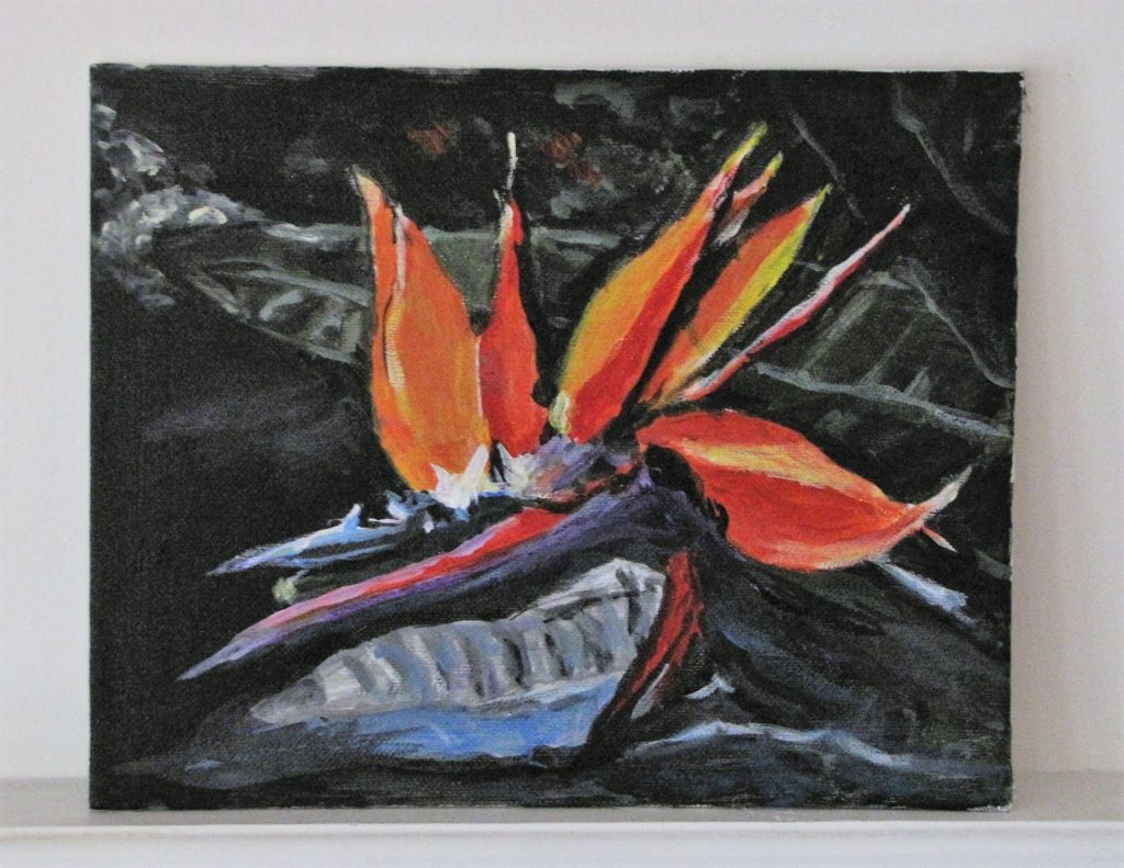 bird of paradise painting