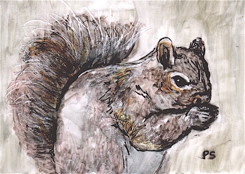 Feeling Squirrelly Today artwork