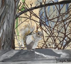 Squirrel dayout art