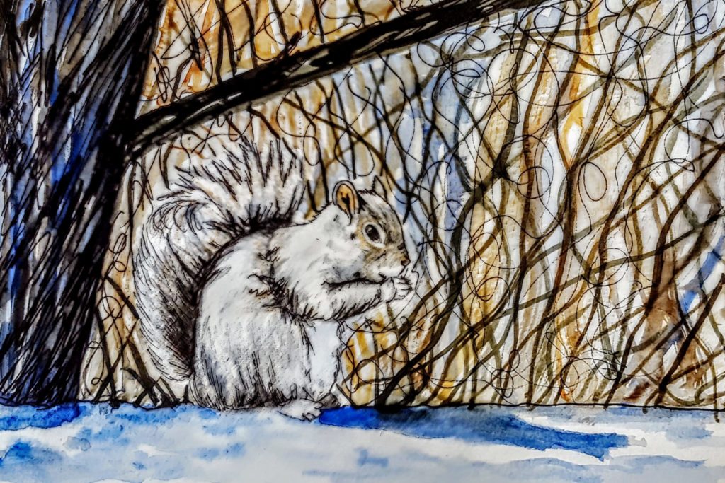 Squirrel painting