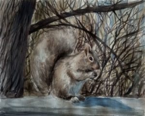 Ardilla gris Squirrel painting