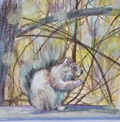Squirrel painting