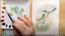 Line and Wash Painting of Snail