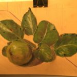 Pastel study - pear branch