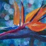 Bird of Paradise ATC