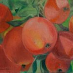Apples