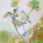 Birds on the tree