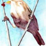 the tight-rope walker