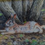 Mr. Rabbit, Mr. Rabbit