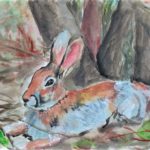 Relaxed Rabbit Challenge 88