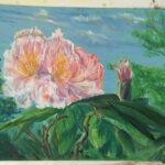 Spring colours  2